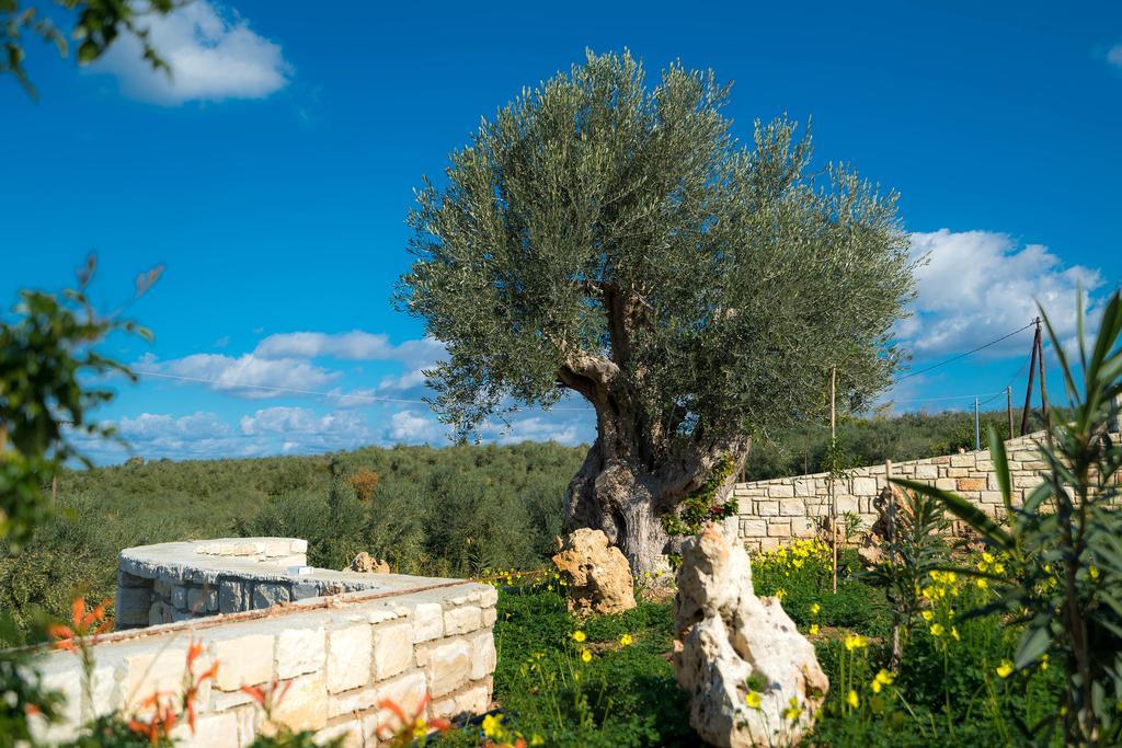 Vila Olive Garden