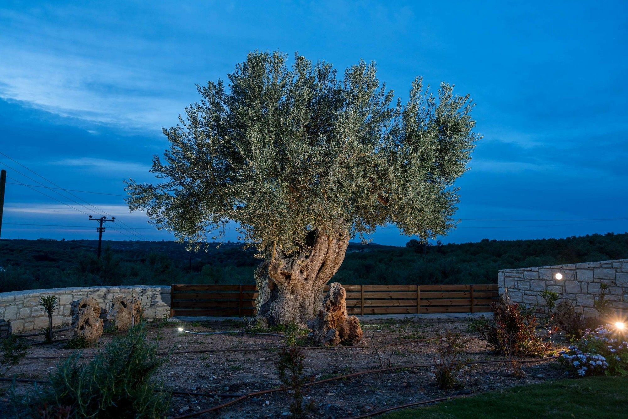 Vila Olive Garden Perama (Crete)