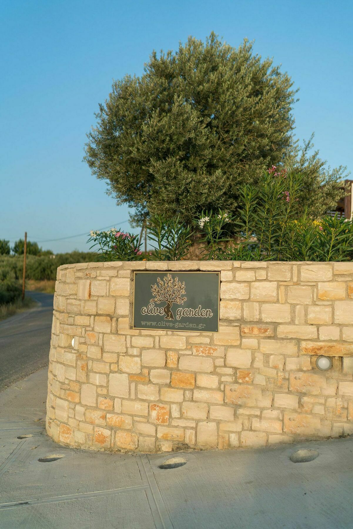 Villa Olive Garden *